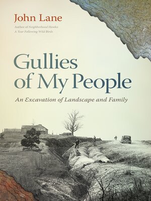 cover image of Gullies of My People